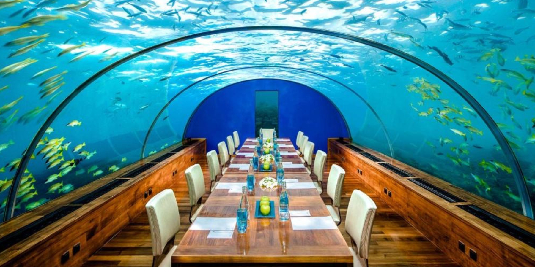 Imagem meramente ilustrativa*